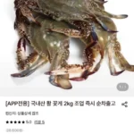 국내산 활 꽃게 2kg 조업 즉시 순차출고