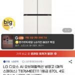 LG 디오스 AI 오브제 4도어 냉장고 T876MEE111