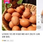 난각번호 1번 계란
