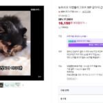 강아지 간식 덴탈껌 양치껌