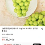샤인머스켓 2.4kg 3수 특품