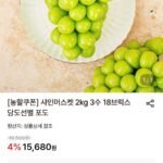 (농할10%+30%) 18브릭스 샤인머스켓 2.4kg 3수