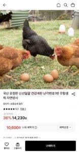 난각번호1번 무항생제 유정란 20구