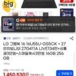 LG 그램북 16 16U55U-GS5CK + 27인치모니터 27G411A