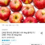 홍로 사과 4kg 20-25과
