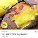 26년 해남 햇 고구마 중사이즈 3kg
