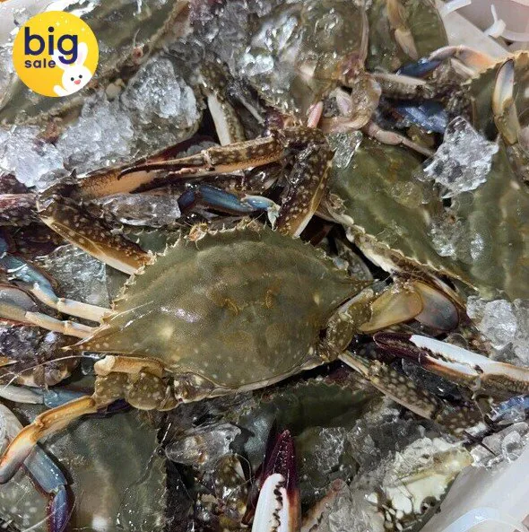 국내산 먹을게 많은 활 숫꽃게 2kg (kg당 1-3미)