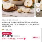 햇 나주배 원황배 5kg 9-14과 내외