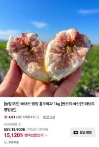 국내산 영암 홍무화과 1kg
