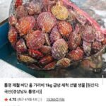 통영 비단 홍가리비 2kg