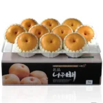 나주배 선물세트 5kg (9-10과)