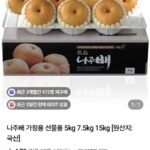 나주배 선물세트(9-10과) 5kg