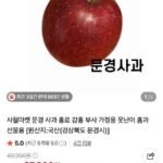 문경 사과 홍로 못난이 3kg 5kg 무료배송