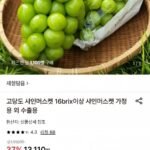 고당도 샤인머스켓 16brix이상 2kg(3-4수)