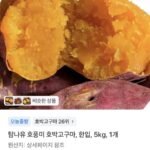 호풍미 호박고구마 한입 5kg