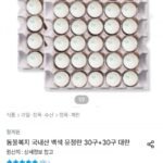 동물복지 국내산 백색 유정란 30구+30구 대란