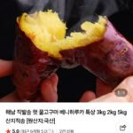 해남 직발송 햇 꿀고구마 베니하루카 특상 3kg