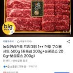 농협안심한우 프리미엄 1++ 한우 구이용 세트600g (꽃등심 200g+눈꽃로스200g+보섭로스 200g)