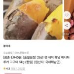 세척 베니하루카 꿀고구마 5kg (한입)