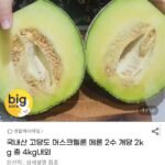 국내산 머스크멜론 2수 4kg