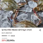서해안 제철 활 숫꽃게 2kg (2-6미)