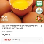 동물복지 유정란 40구
