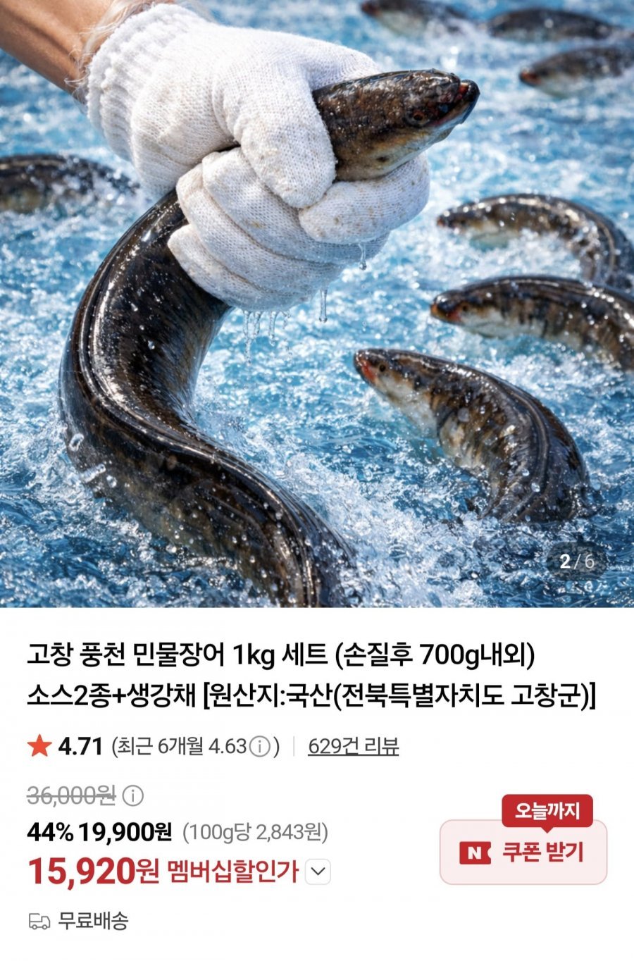 고창 풍천 민물장어 1kg 세트 (손질후 700g내외) 소스2종+생강채