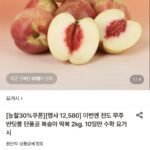 천도 단풍골 딱복 복숭아 2kg 14-16과