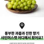 산지직송 고당도 샤인머스켓 2kg 3~4수