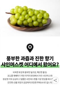 산지직송 고당도 샤인머스켓 2kg 3~4수