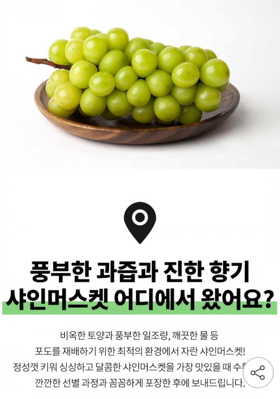 산지직송 고당도 샤인머스켓 2kg 3~4수