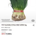 산지직송 쪽파 1kg