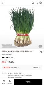 산지직송 쪽파 1kg