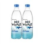 광동제약 아이스웨일, 플레인, 500ml, 40개