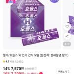 호올스 스틱 블루베리 27.9g 20개입