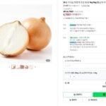 국내산 햇양파 무안 창녕 대사이즈 ( 250~400g 내외)
