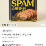 CJ제일제당 스팸 클래식, 340g, 10개