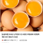 국내산 난각번호1번 유정란 무항생제 자연방목 계란20구
