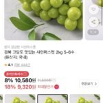 경북 하우스 샤인머스켓 2kg 5-6수