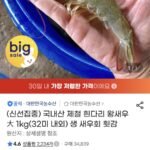국내산 제철 흰다리 왕새우 1kg(32미 내외)
