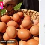 생란 난각번호 1번 40구