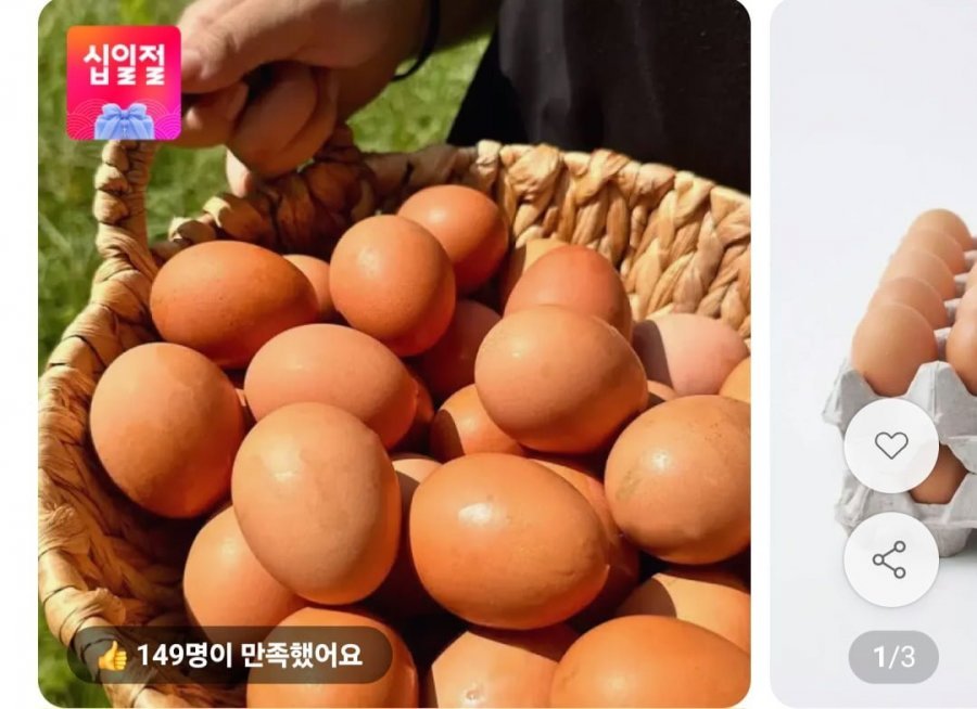 생란 난각번호 1번 40구
