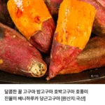 당근고구마 호풍미 대 3kg