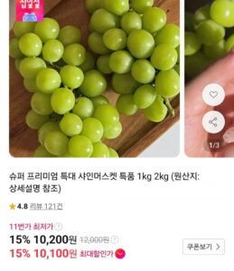 샤인머스캣 2kg 2~4수
