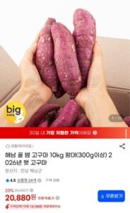 해남 꿀밤 고구마 왕대 10kg