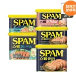 스팸 클래식 340g x10개
