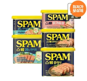 스팸 클래식 340g x10개