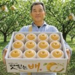 햇 나주배, 5kg, 1박스