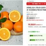못난이 오렌지 미국/호주산 중대과 38과~42과 8kg