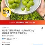 고당도 국내산 샤인머스켓 2kg